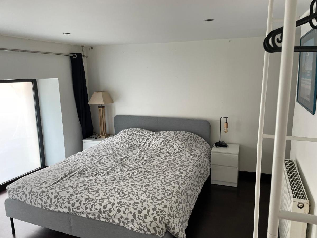 Loft Triplex 3 Chambres Doubles 빌뢰르반 외부 사진